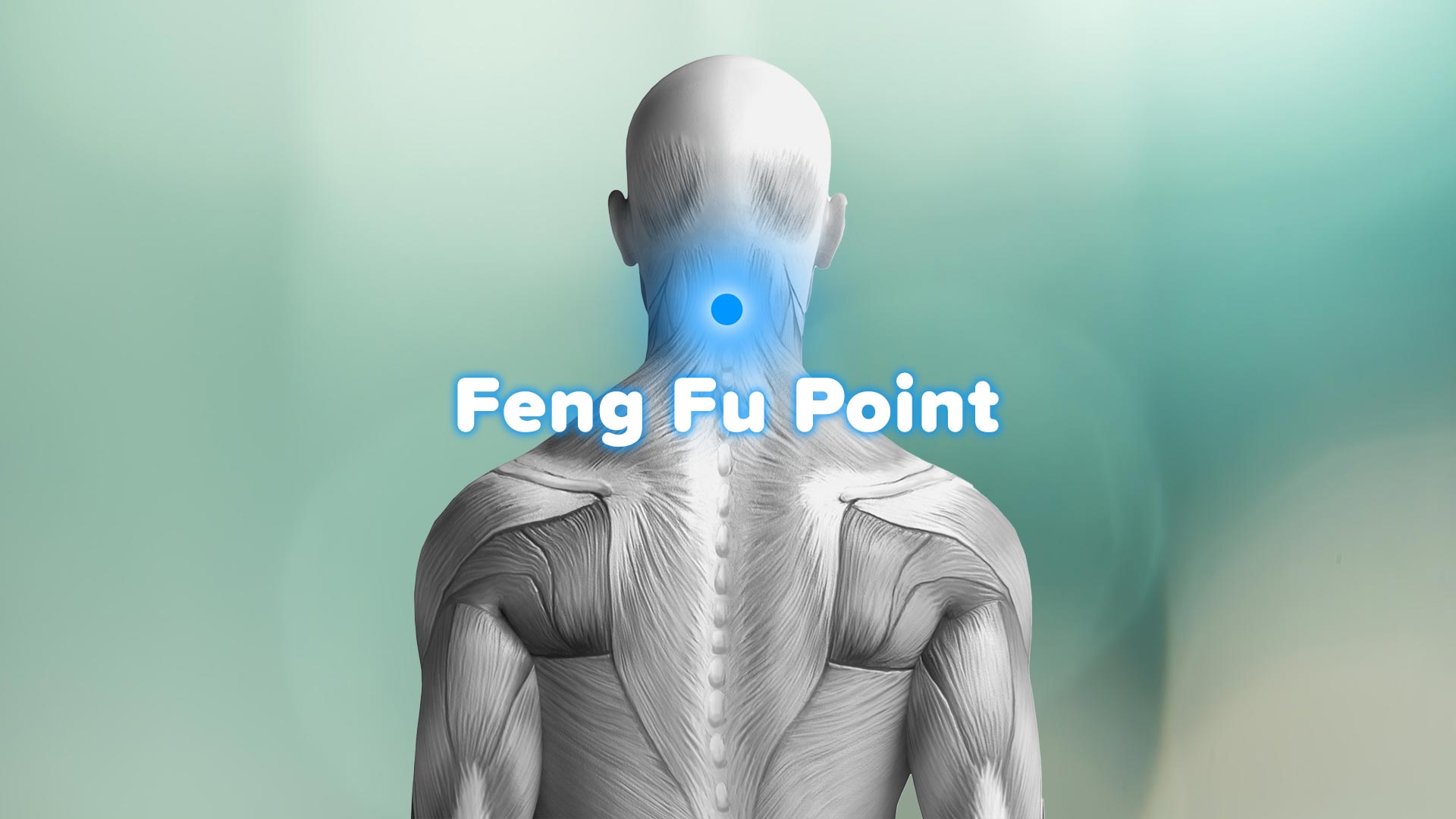 feng fu point