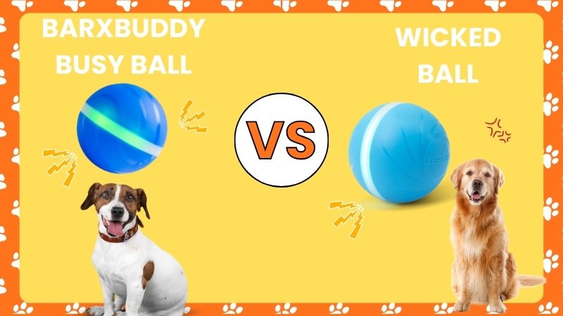 busy ball vs wicked ball